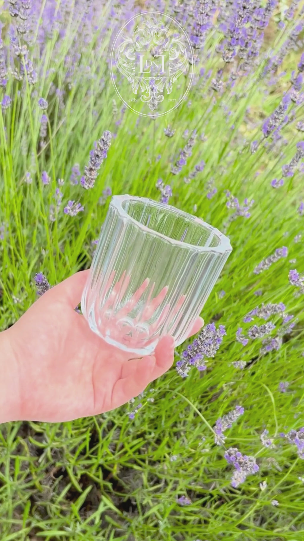 Video of The Vase – Single in ribbed glass, rotating to show its sculptural shape and translucent texture in soft natural light.