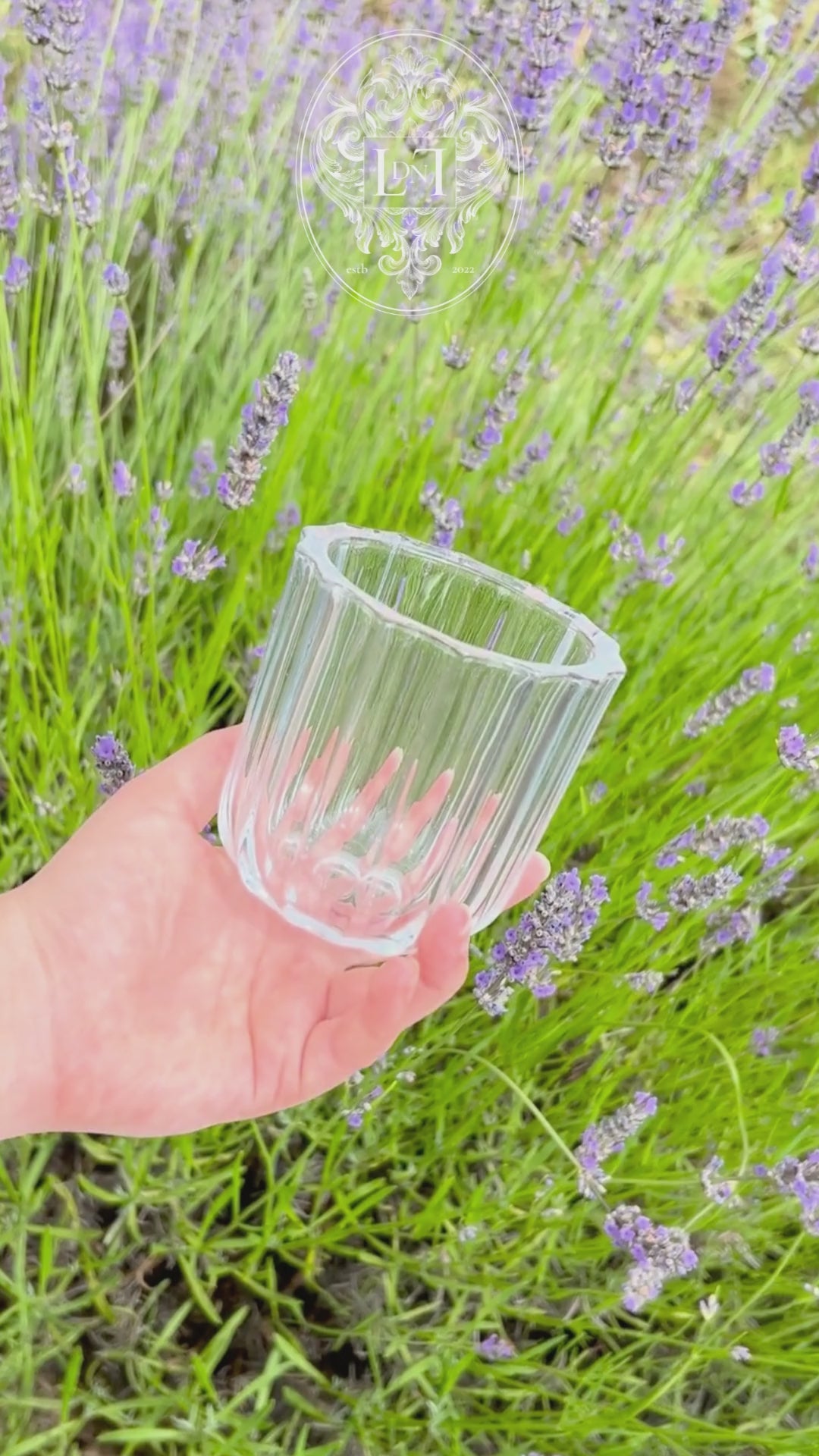 Video of The Vase – Single in ribbed glass, rotating to show its sculptural shape and translucent texture in soft natural light.