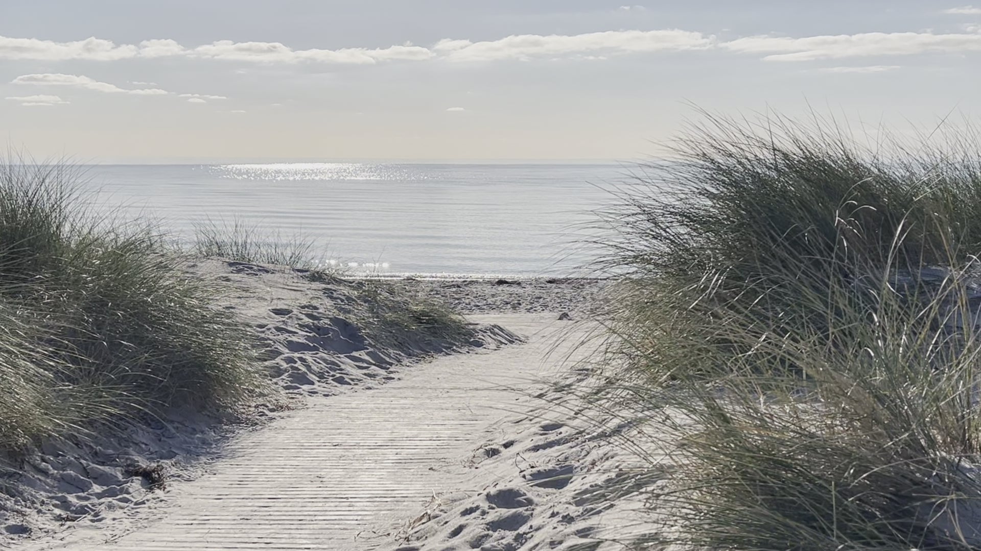 Gentle dunes and still sea along the South Funen coast – a cinematic reflection of LDNL’s quiet luxury and connection to nature.